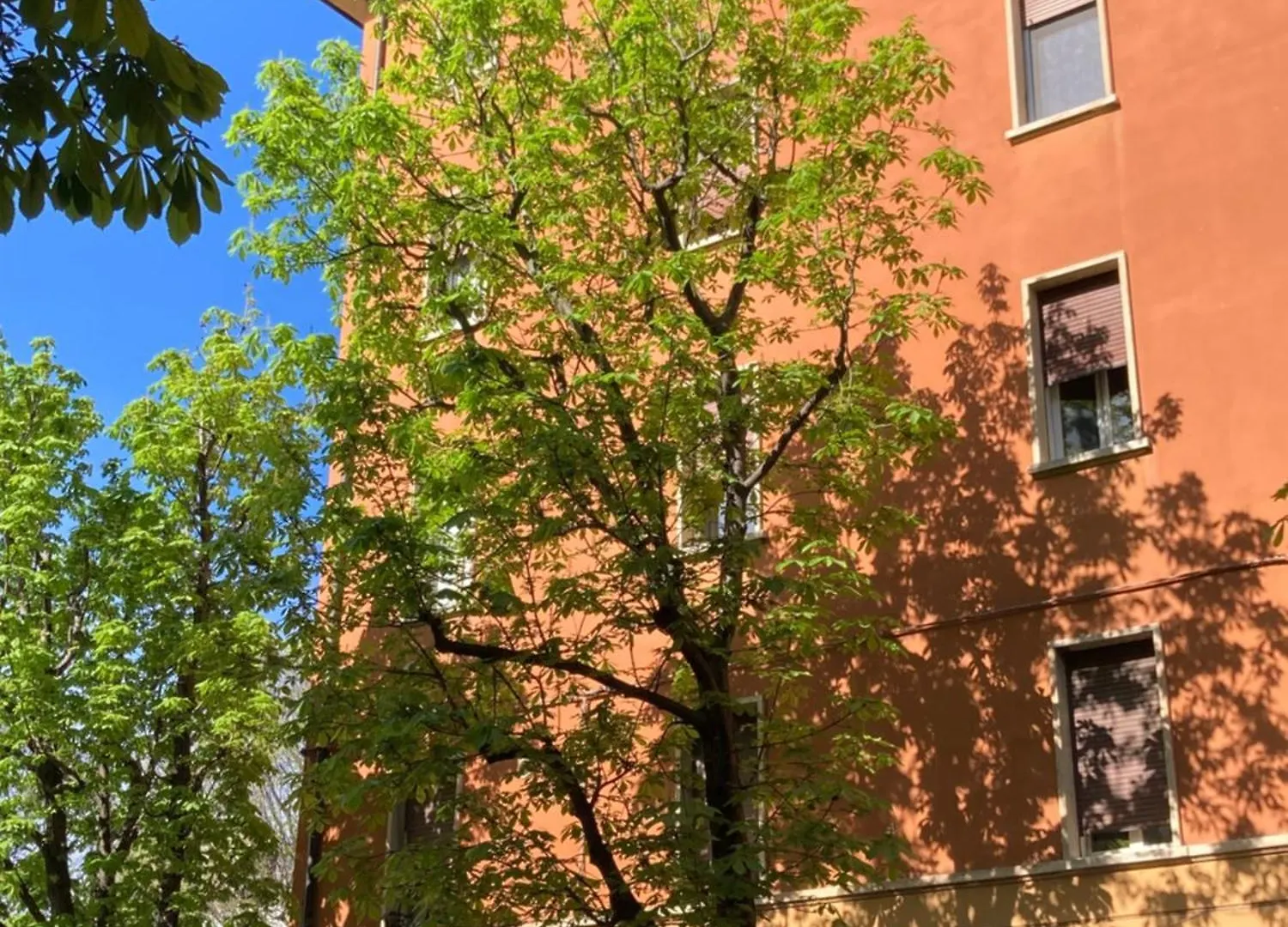 Casatimavo23 Lejlighed Bologna